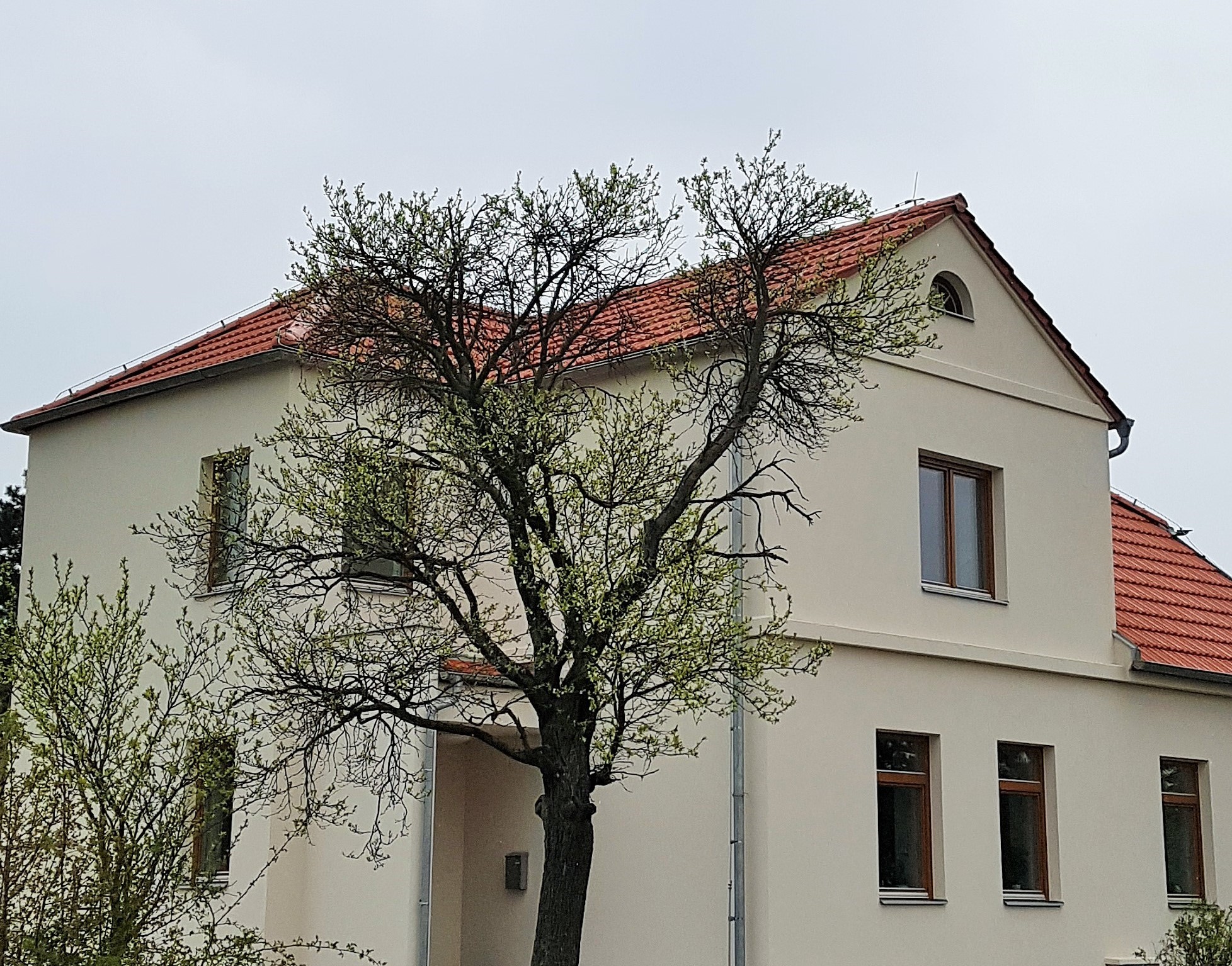 Bílek-kvalitní střechy, s.r.o. foto 6