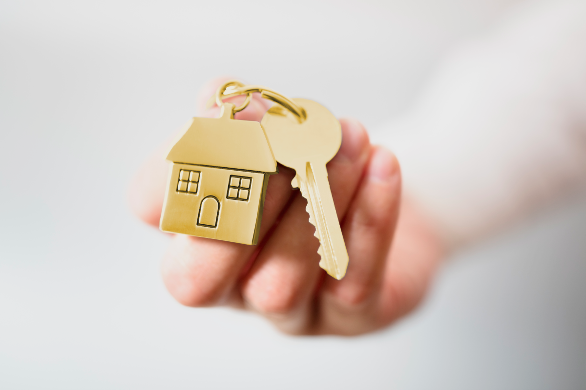 Reality Můstek s.r.o.