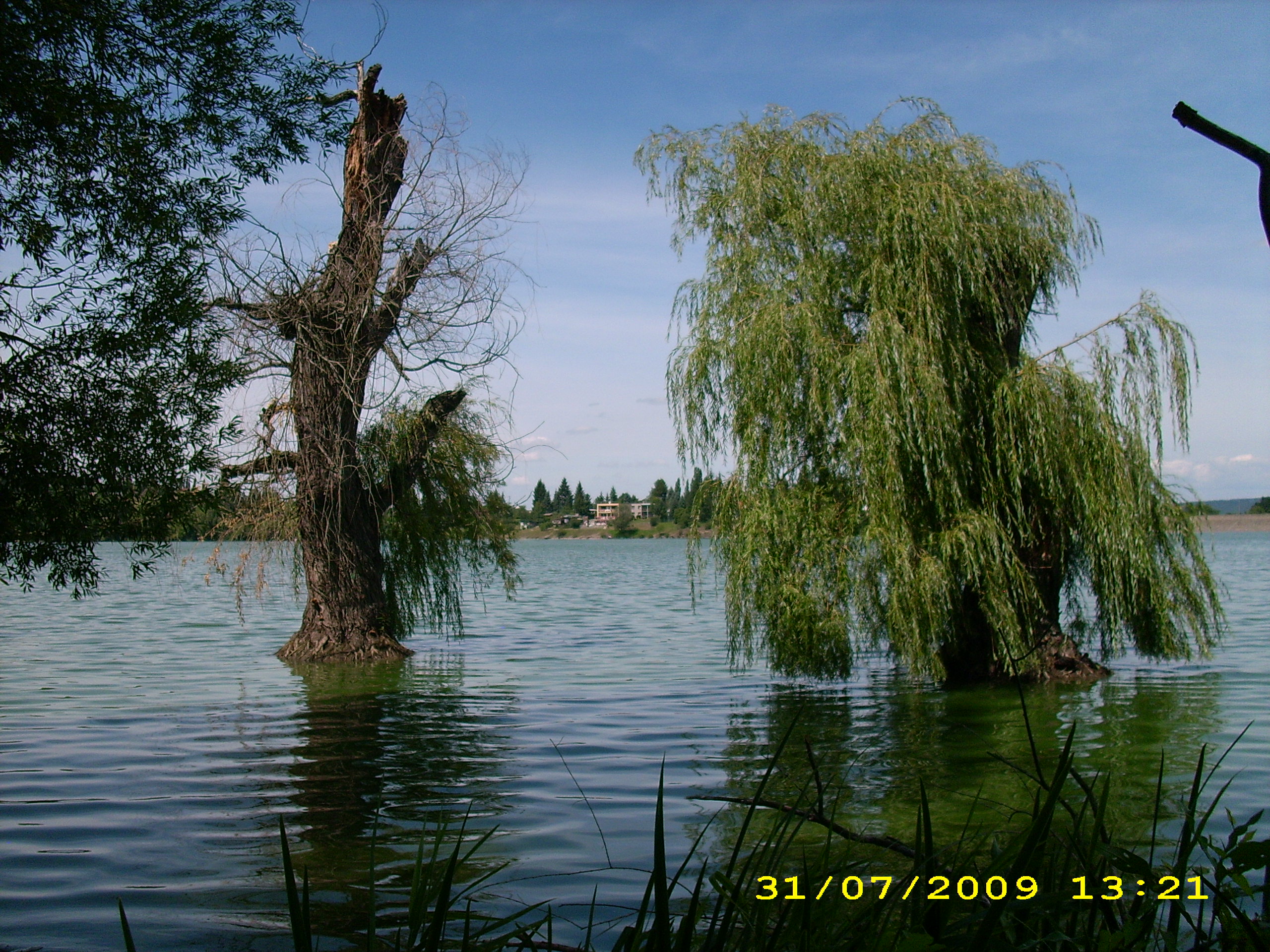 Šlapadla u vrbiček foto 4