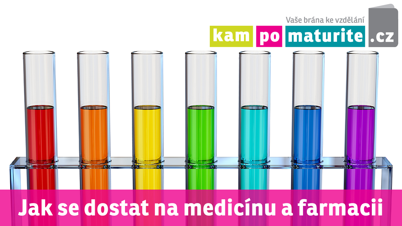 KamPoMaturite.cz foto 3