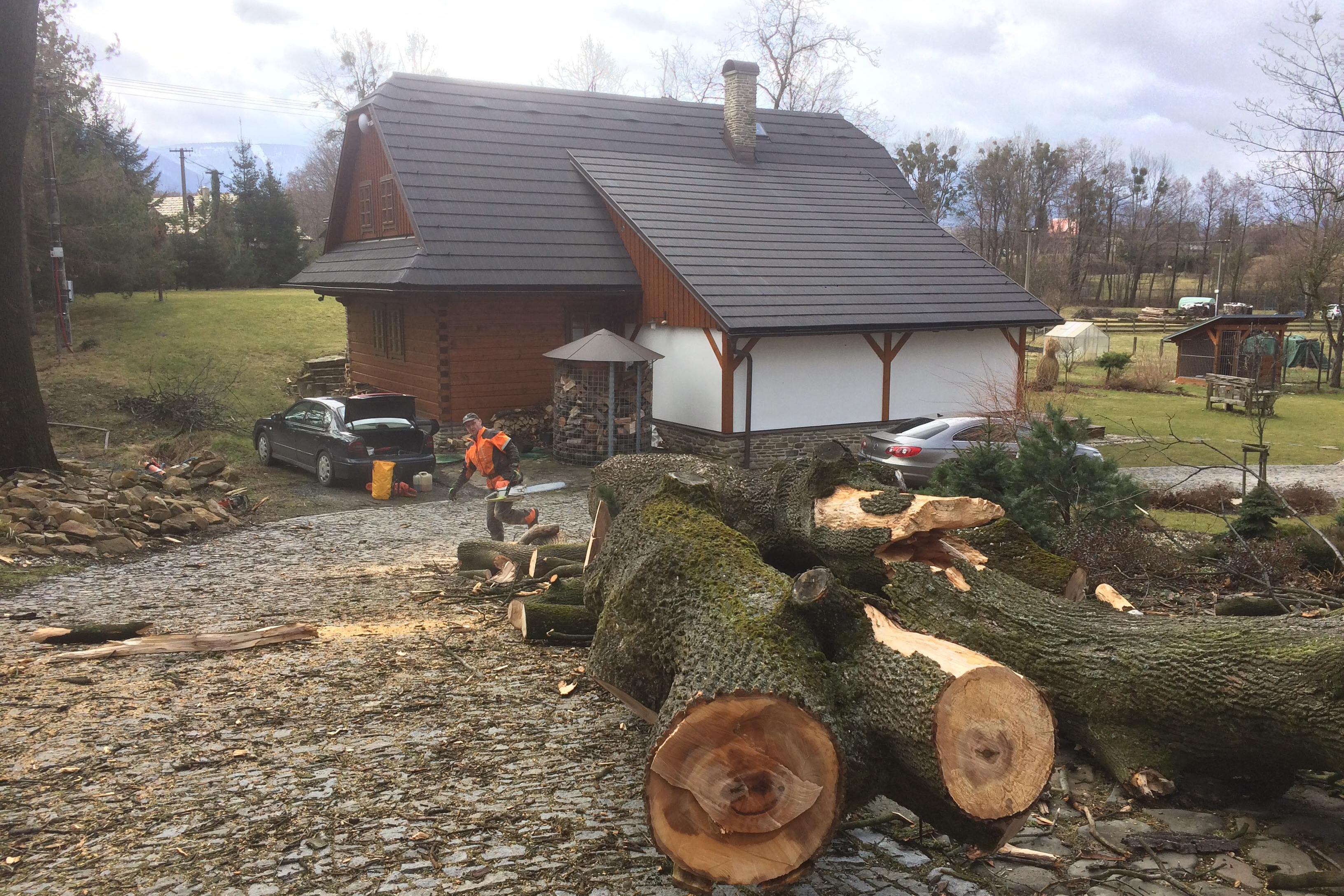 Rizikové kácení KUBALA