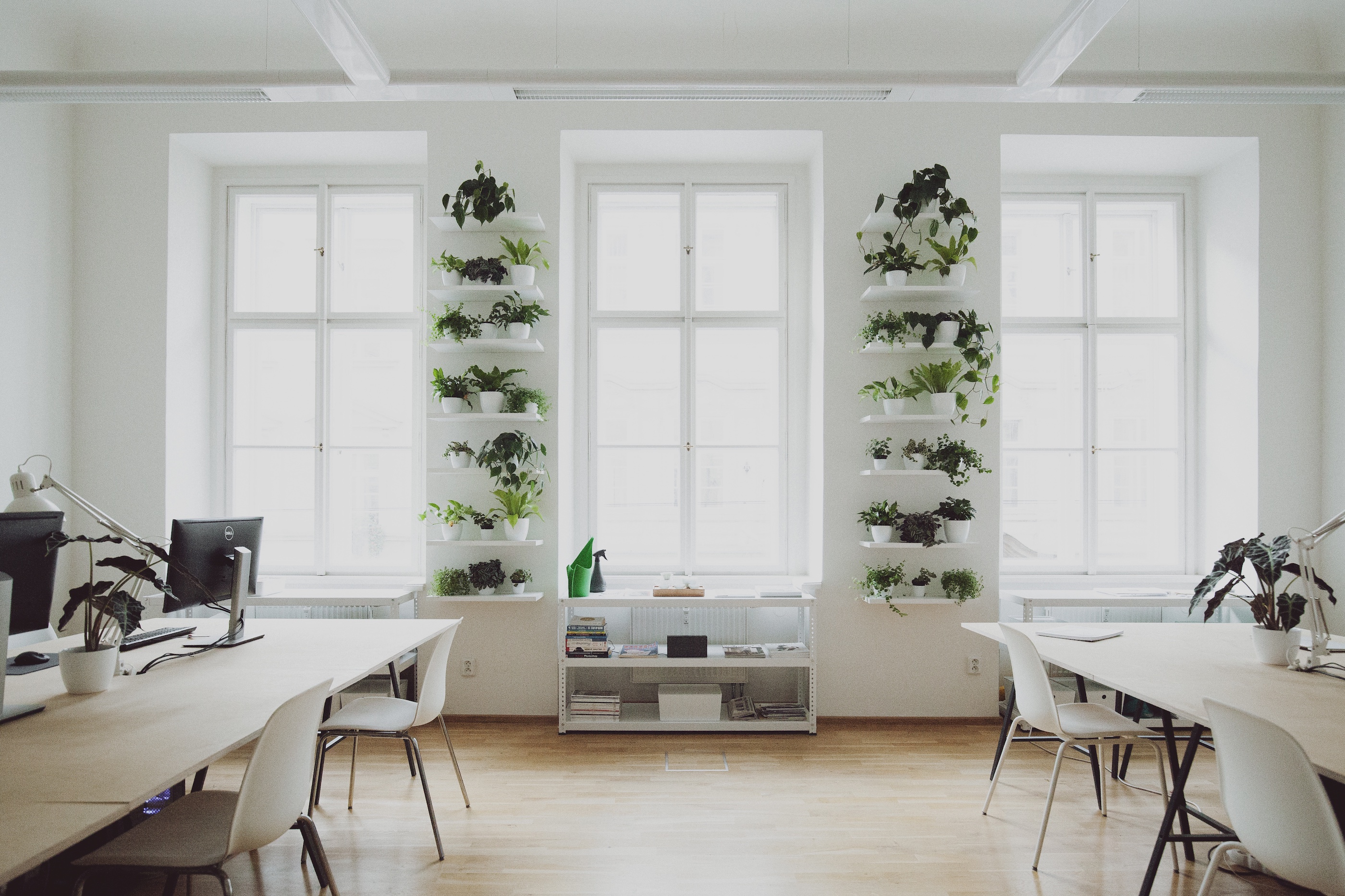 Digital Ants s.r.o. foto 4