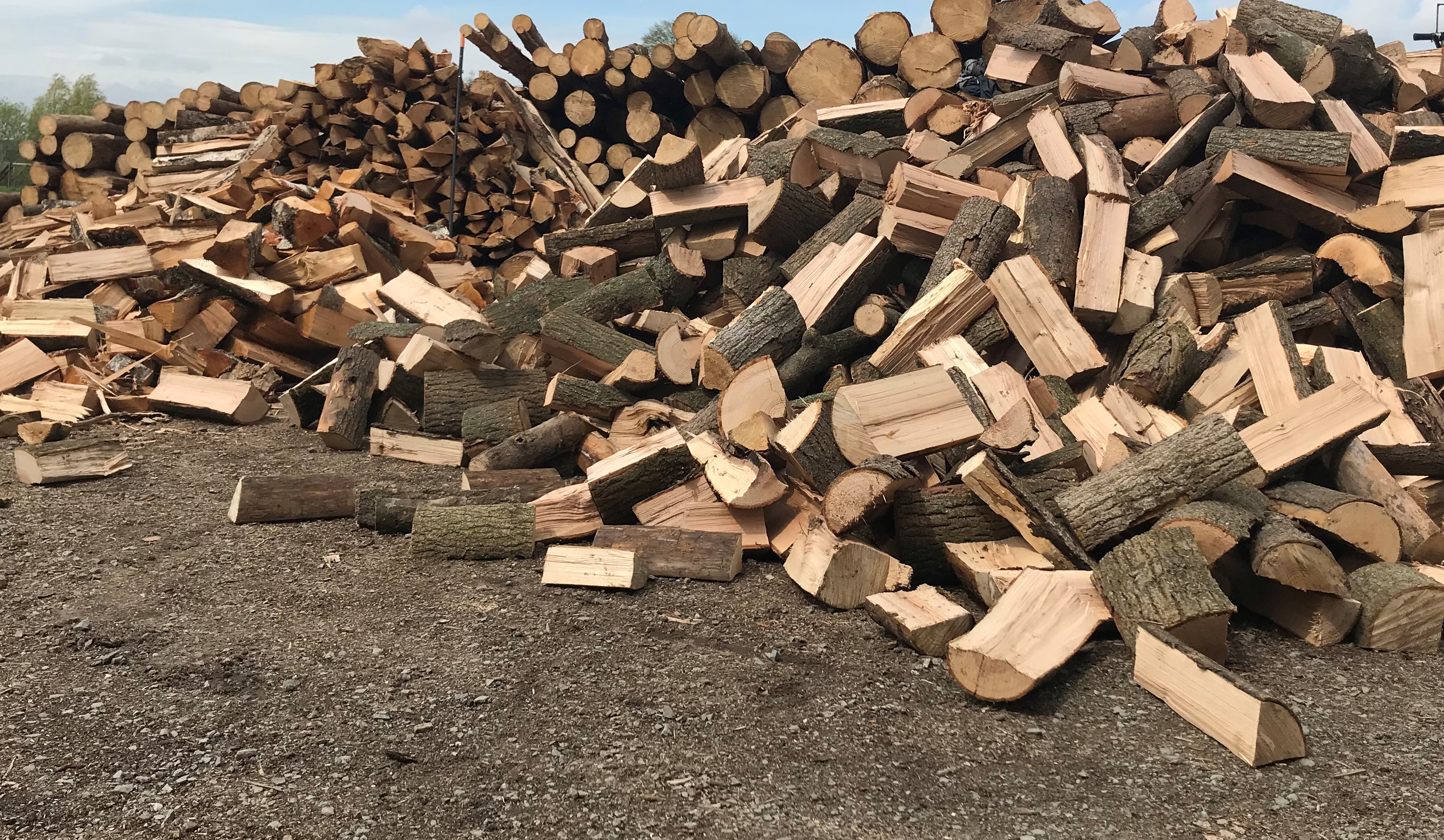 ASCO -  Michal Andrys foto 2