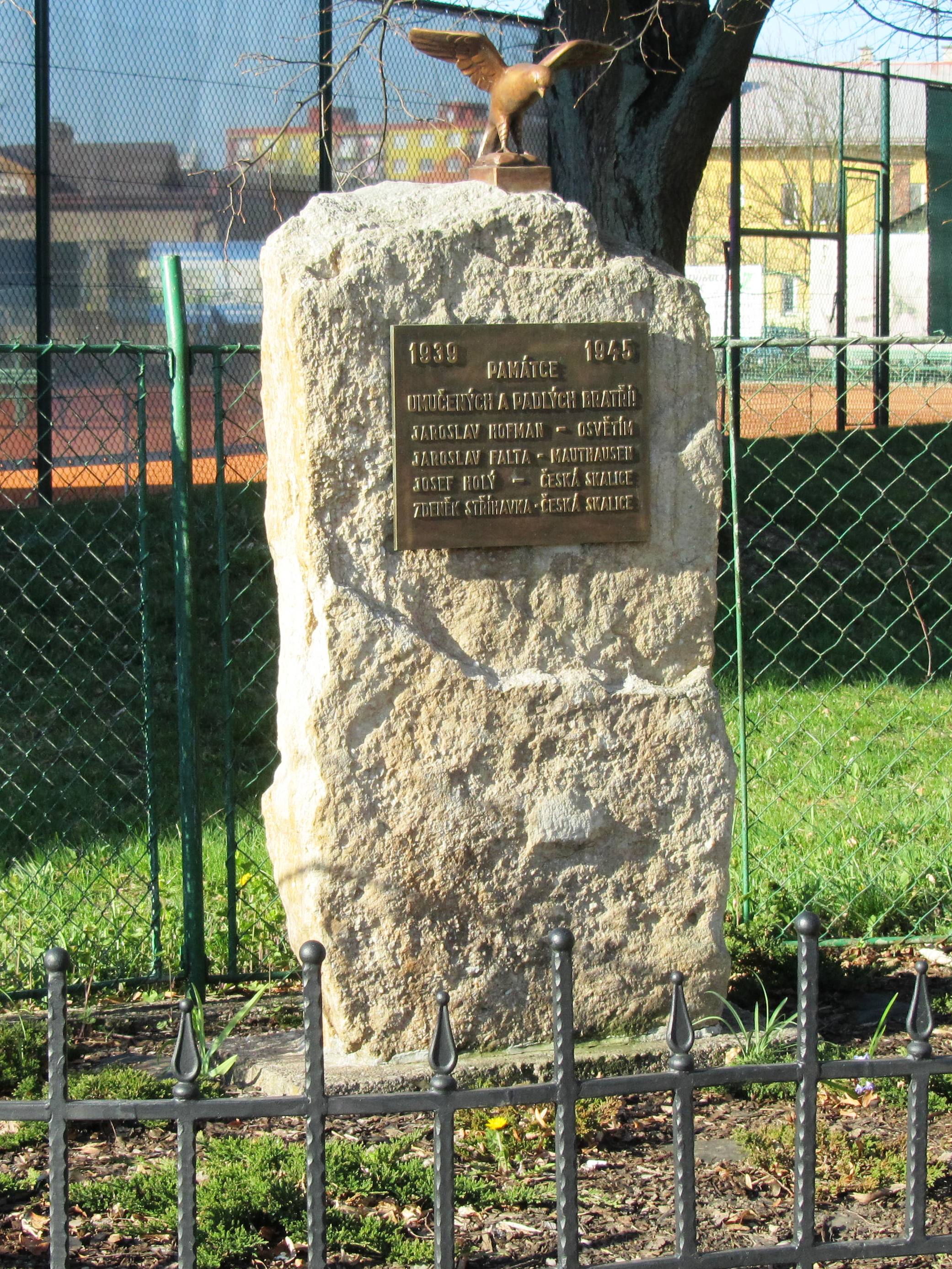 Tělocvičná jednota Sokol Česká Skalice foto 2