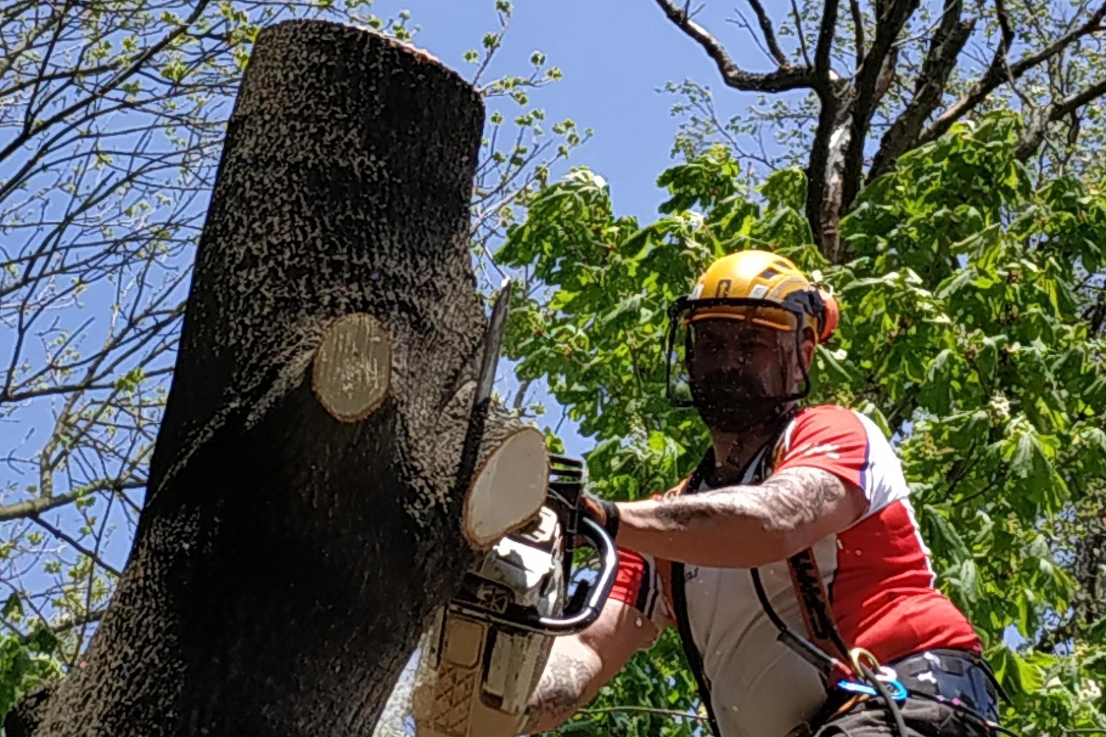 LK Les - Kateřina Čelechovská