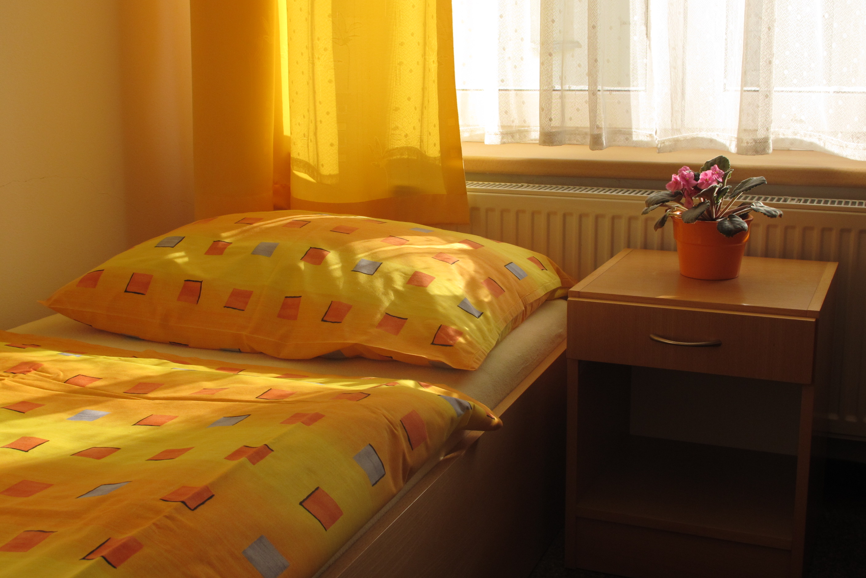 Spolkový dům sourozenců Roškotových - ubytování foto 3