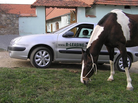 B-LEASING CZ s.r.o. foto 5