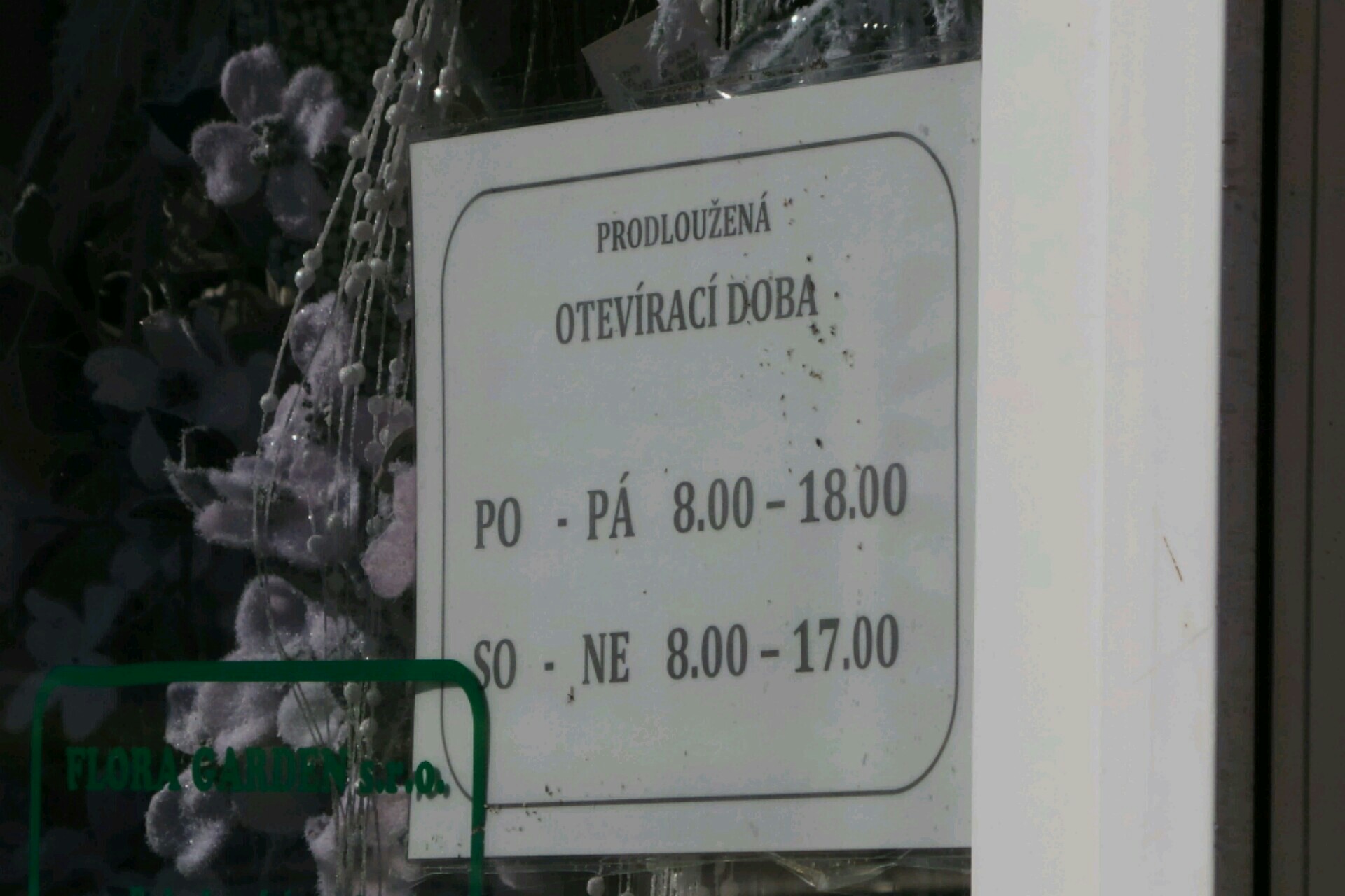 FLORA BAKOV foto 2