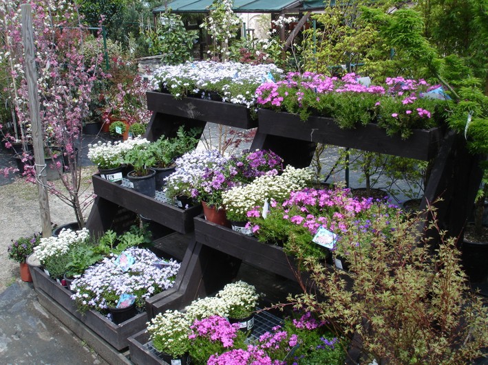 Zahradnictví SAFRO Milan Havlis foto 3