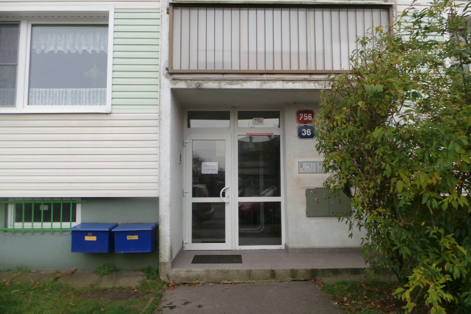 Přátelé Česko-německého fóra mládeže