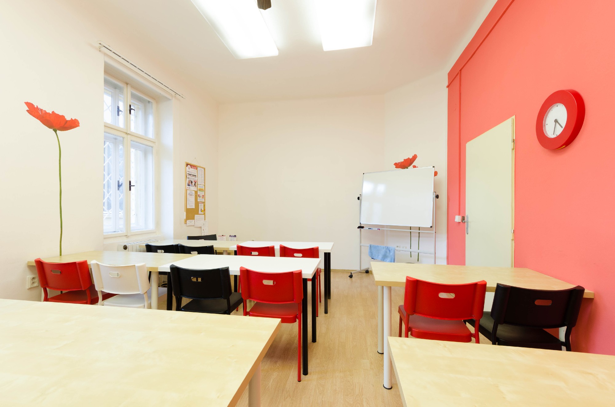 Centrum služeb pro podnikání s.r.o. foto 5