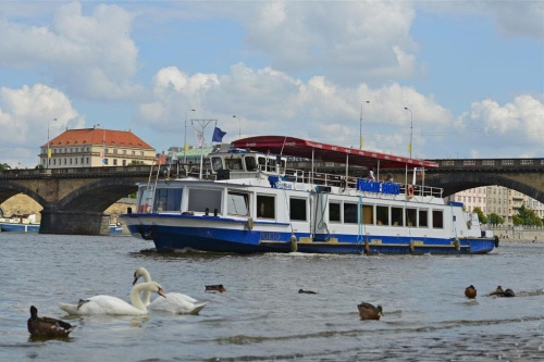 Vltava River Cruises - BOAT NATAL foto 3