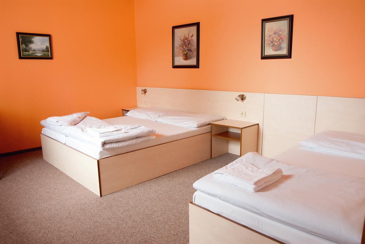 Mlýnhotel foto 5