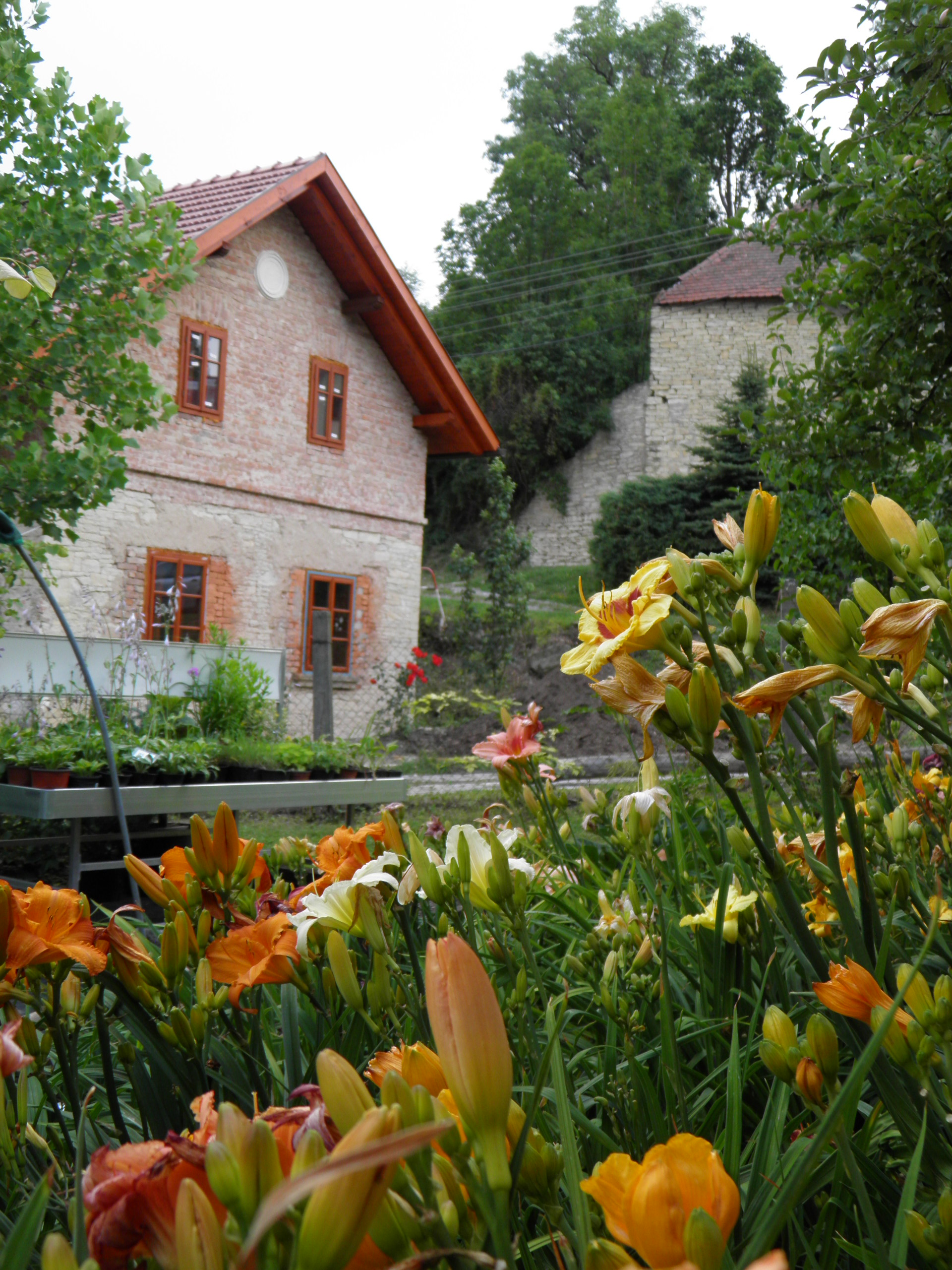 DENIVKOVÁ ZAHRADA foto 2