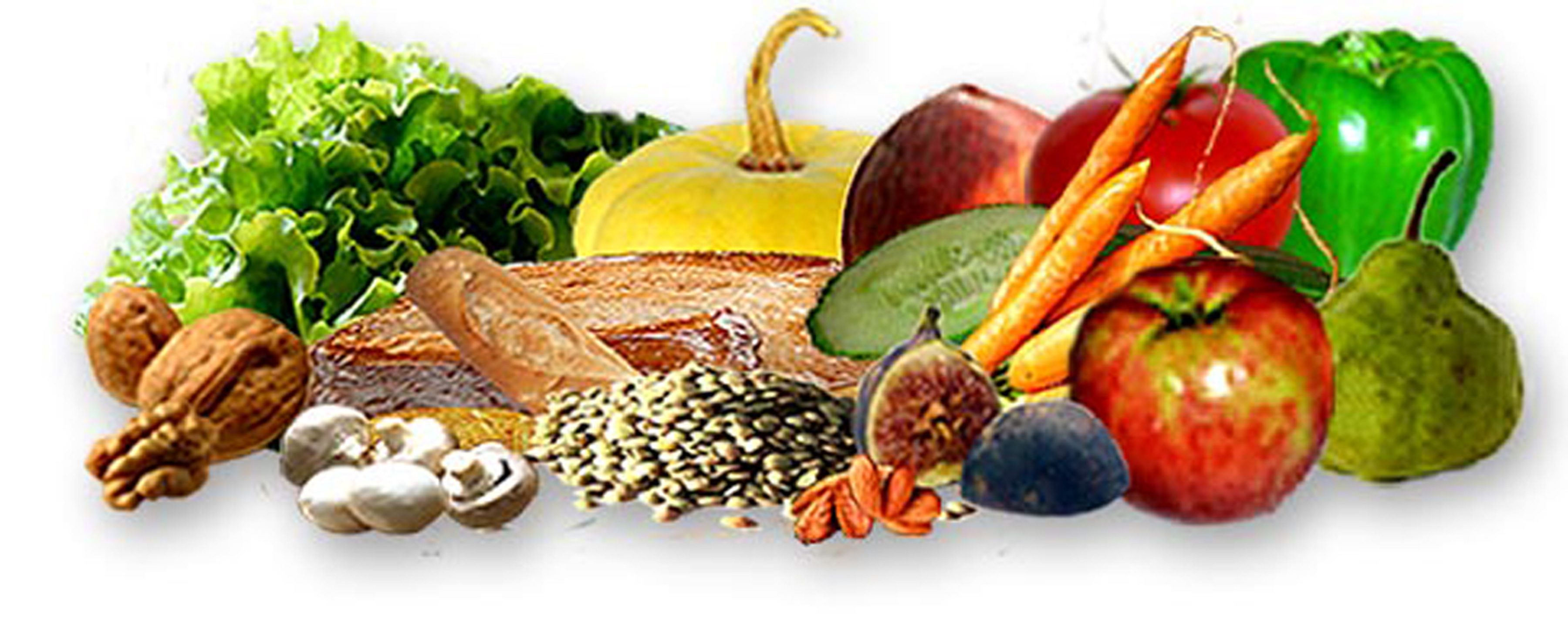 Ing. Karolina Kallmünzerová foto 2