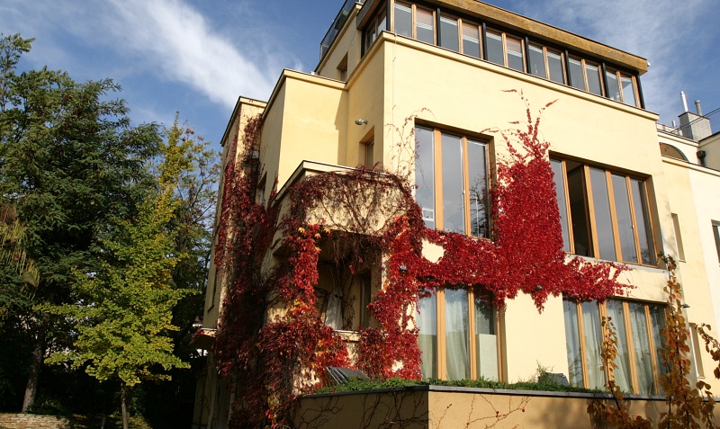 Chronoshop s.r.o. foto 2