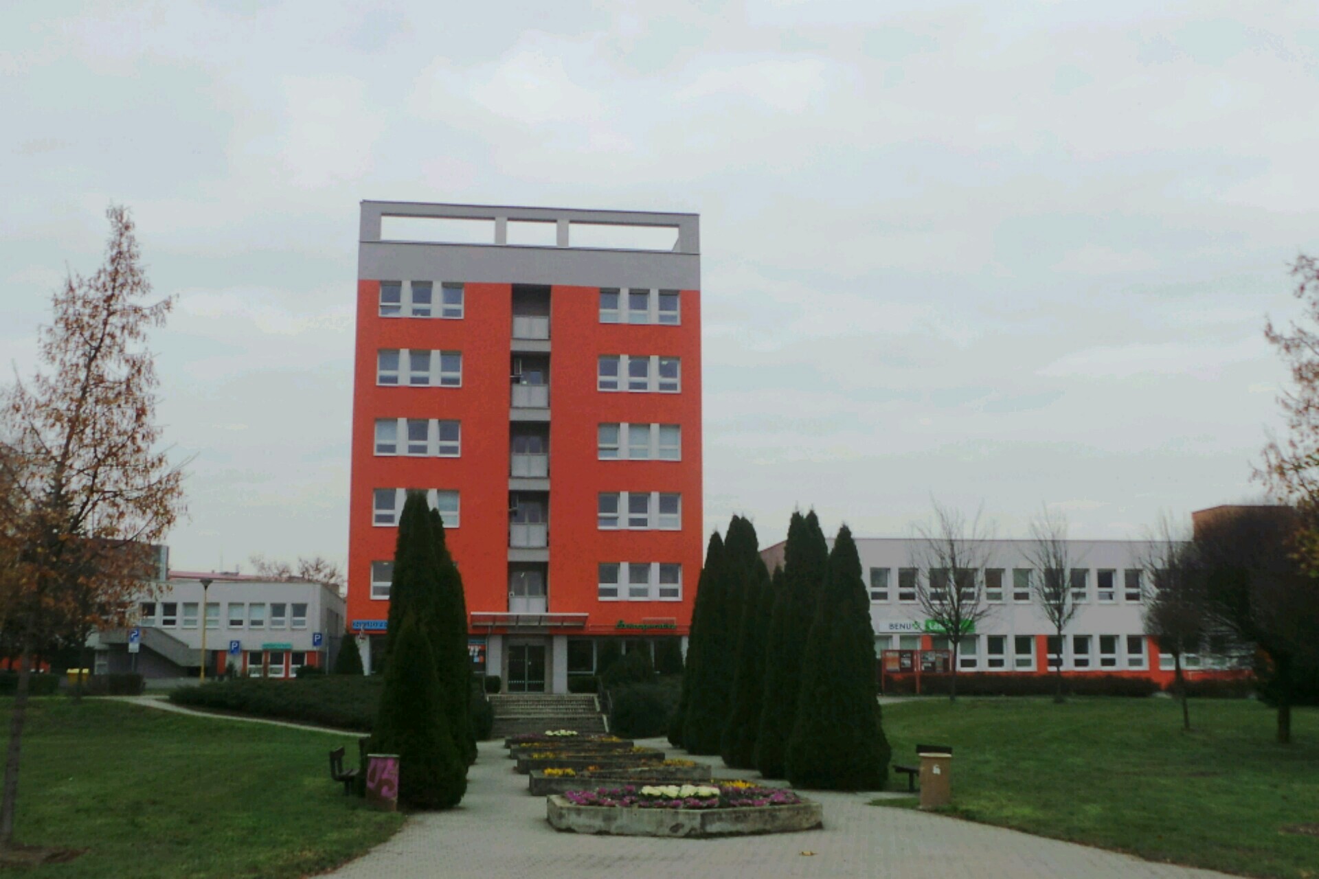 Šárka Zpěváková