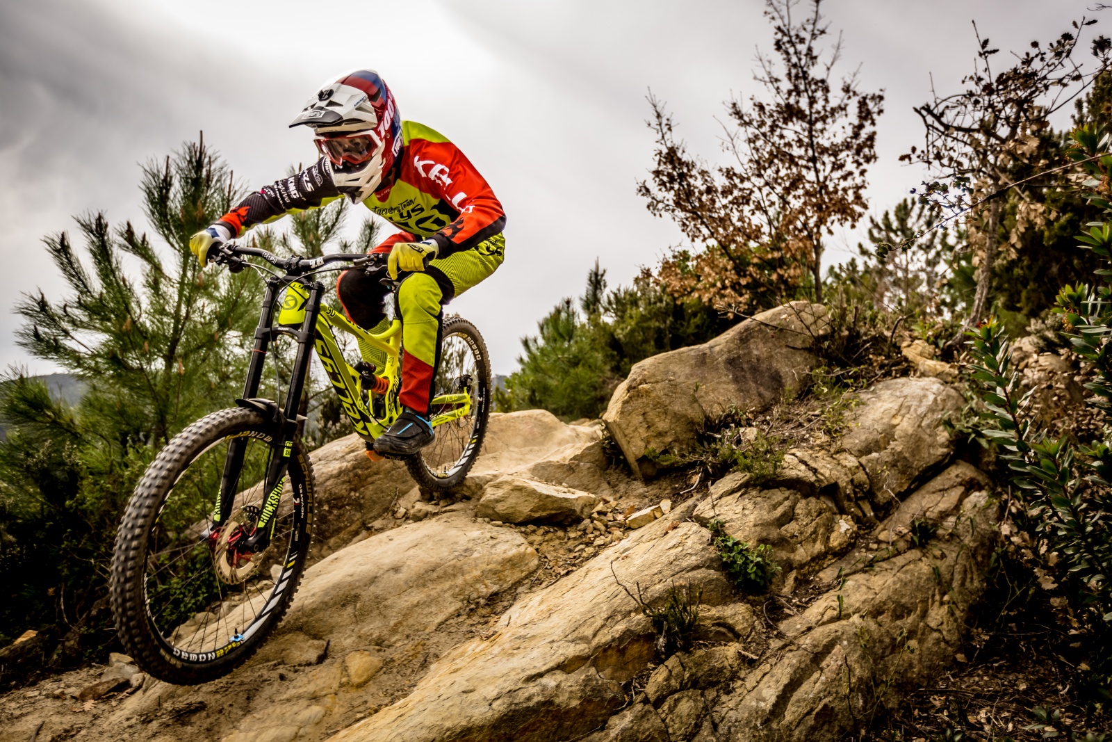 KELLYS BICYCLES - oficiální e-shop foto 2