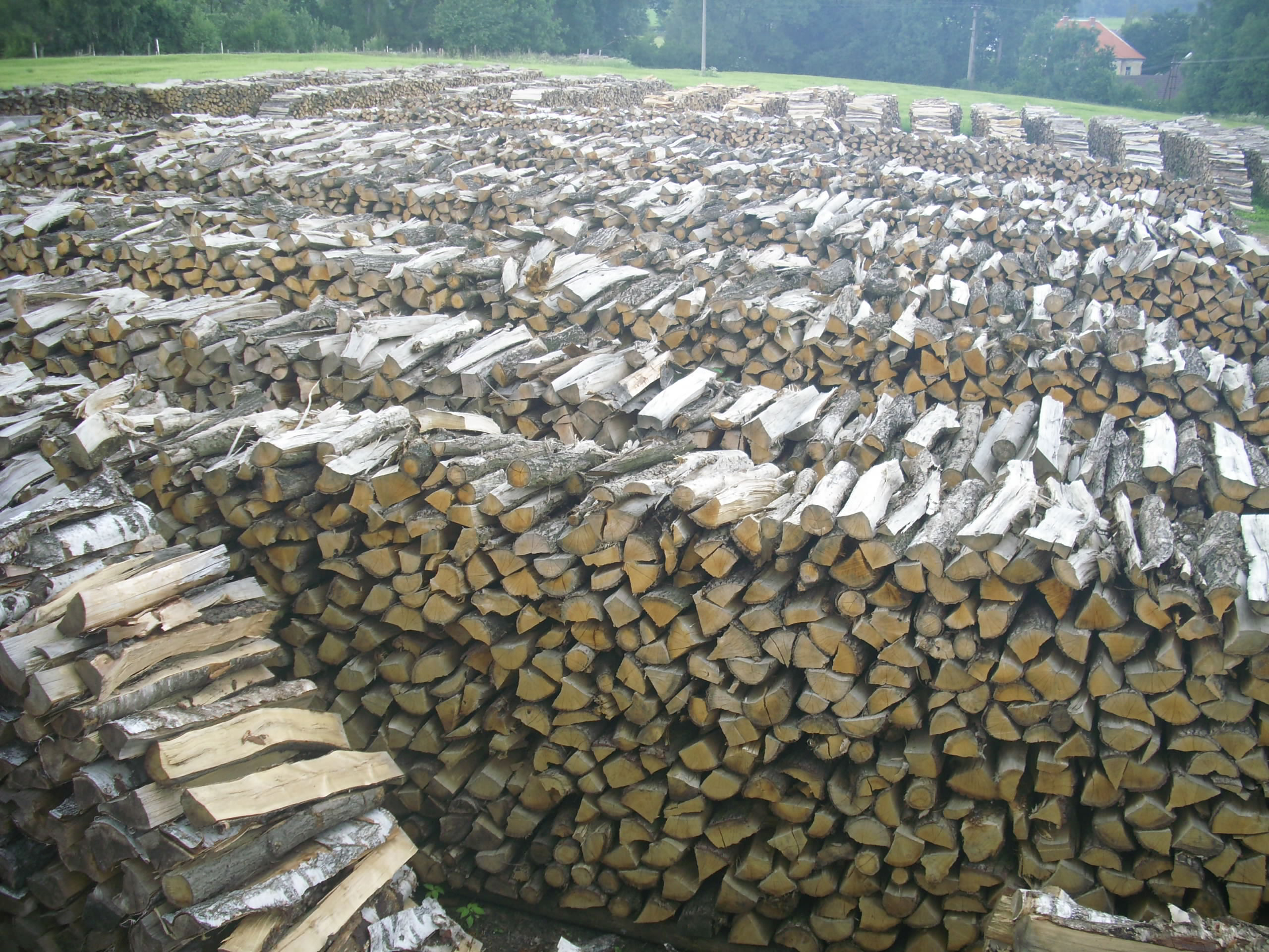 KRBOVÉ A PALIVOVÉ DŘEVO, s.r.o. foto 6