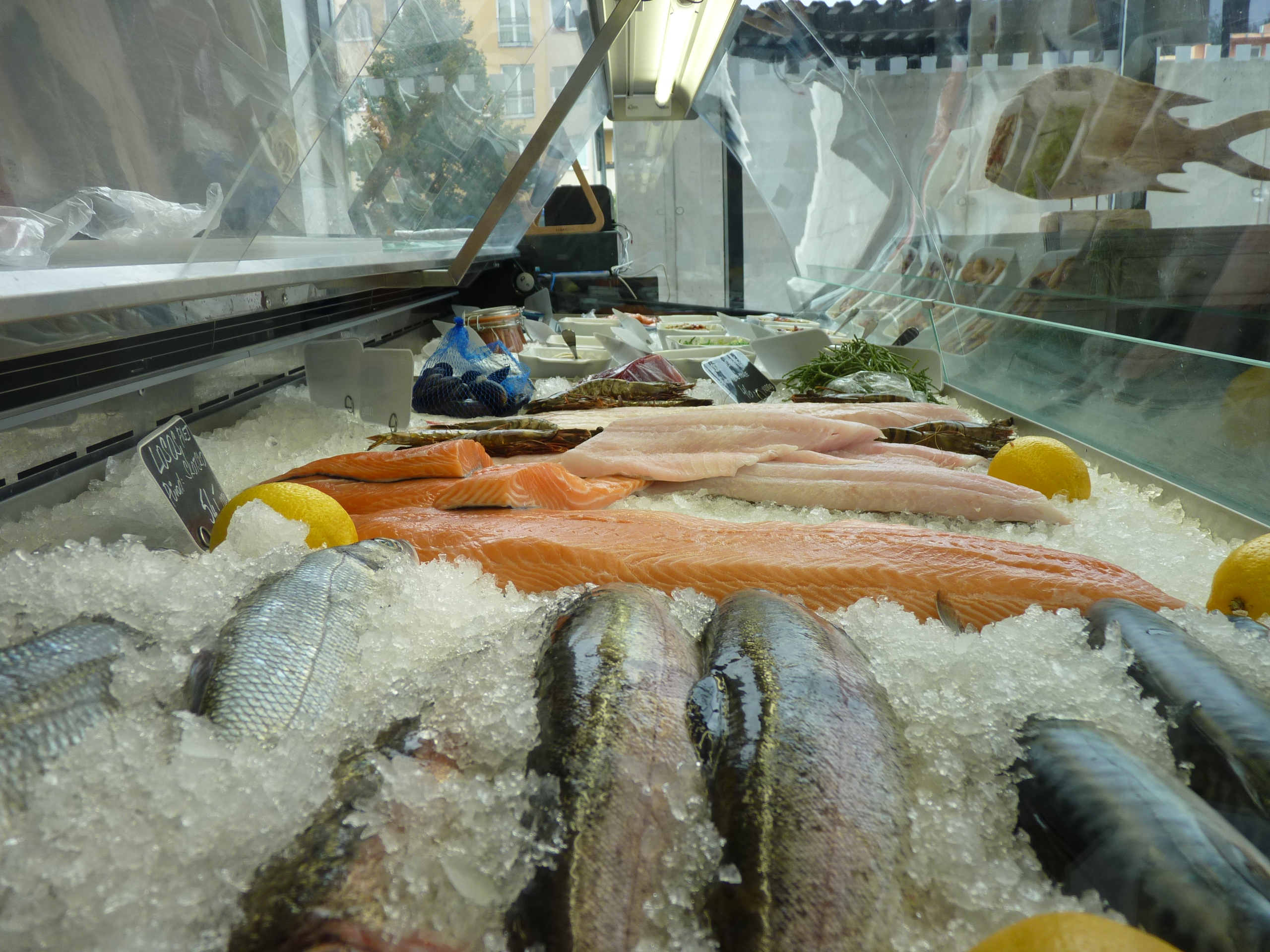 The Fish Company foto 3
