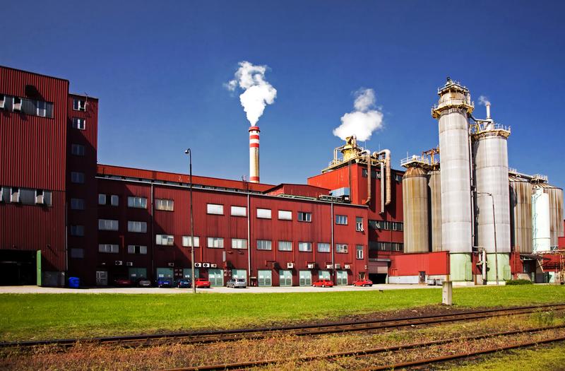 Lenzing Biocel Paskov, a.s.