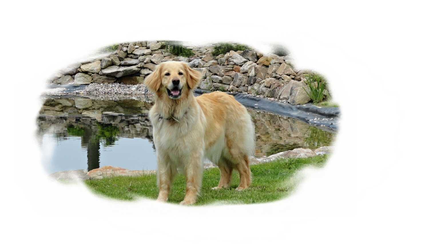 Ze Žďárské vrchoviny foto 2