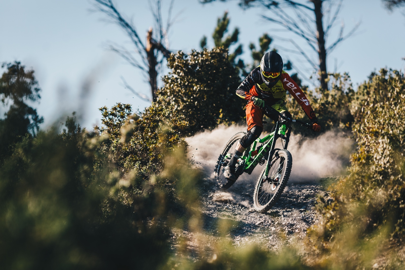 KELLYS BICYCLES - oficiální e-shop foto 3