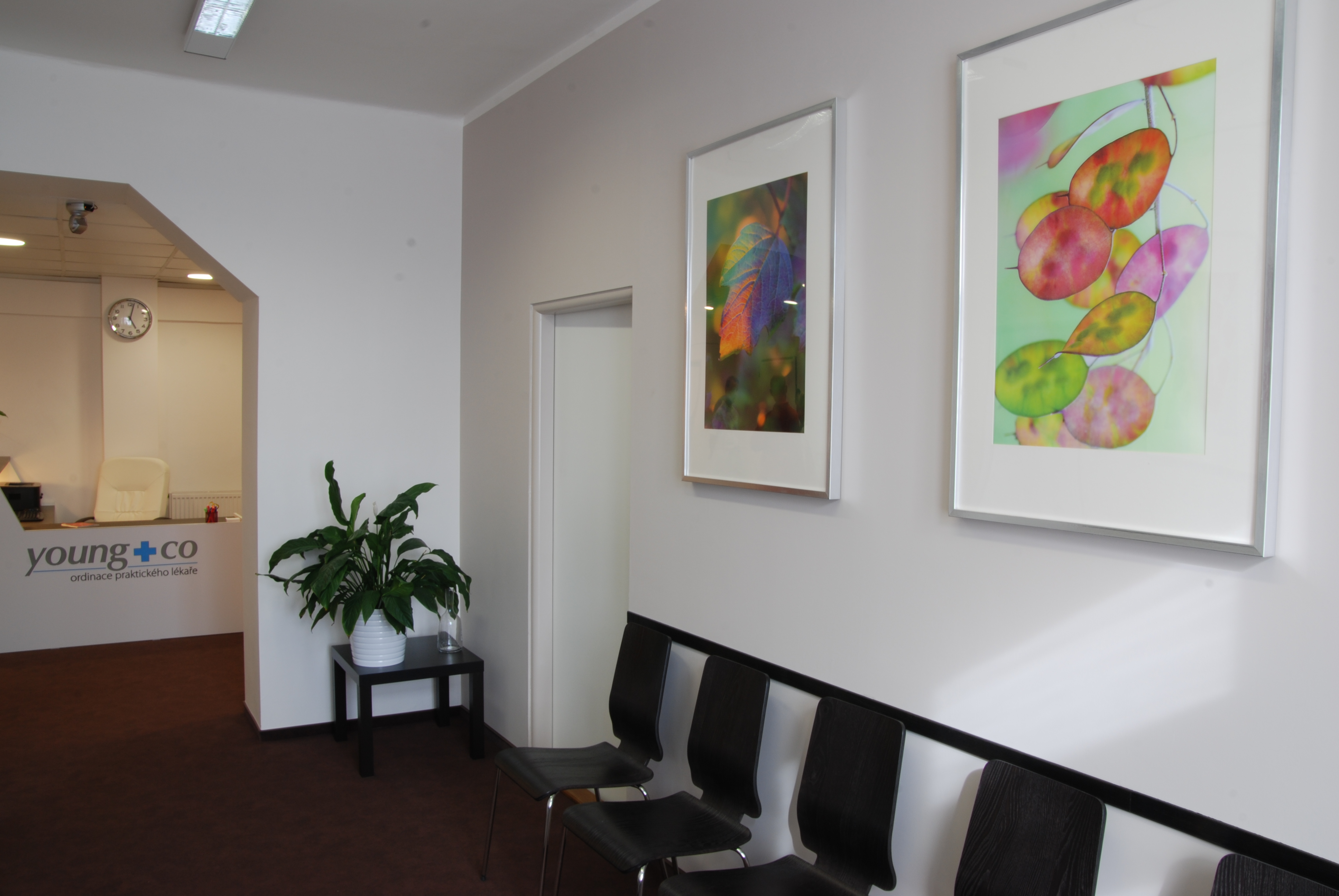 Ordinace praktického lékaře young+co foto 4