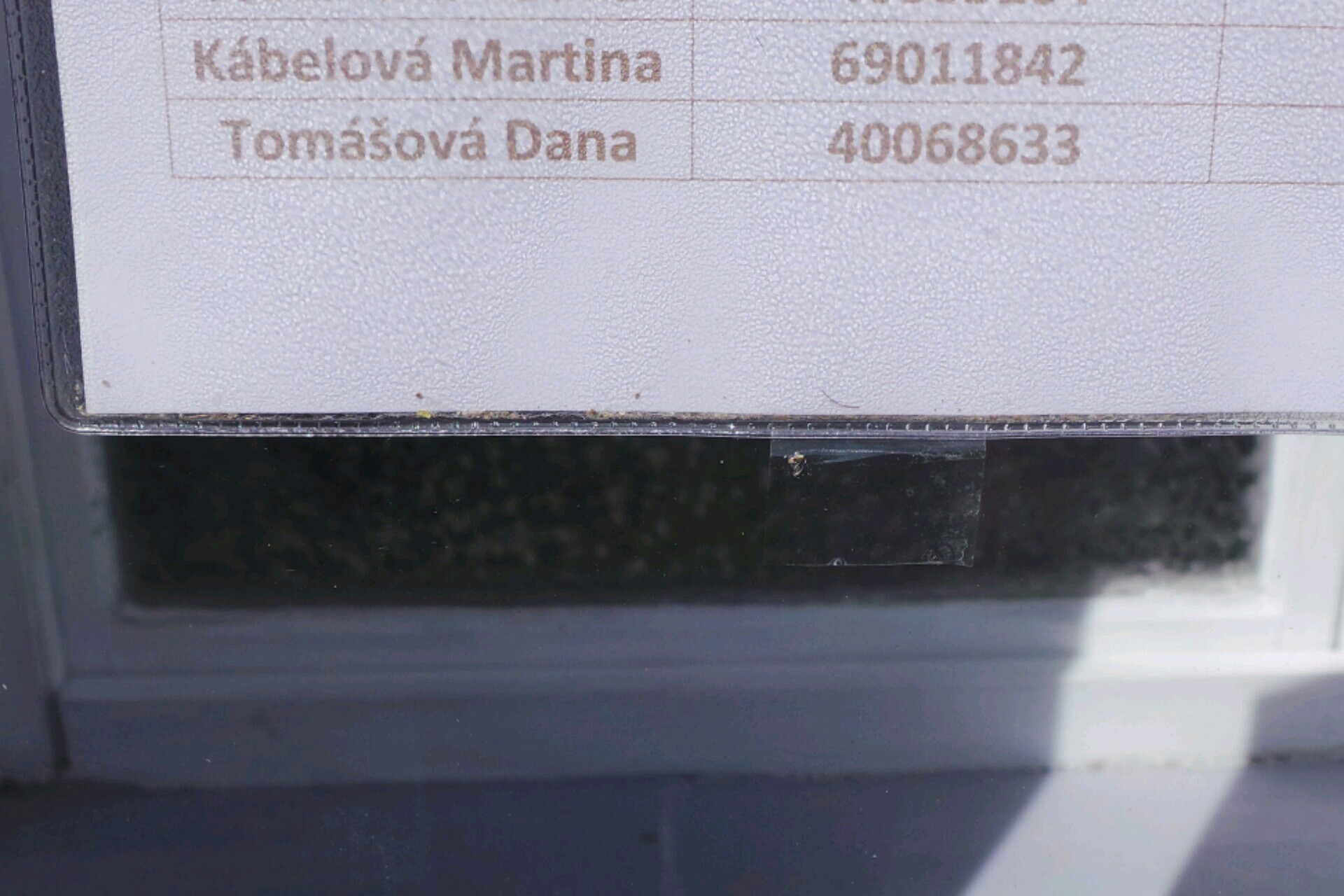 Dana Tomášová foto 2