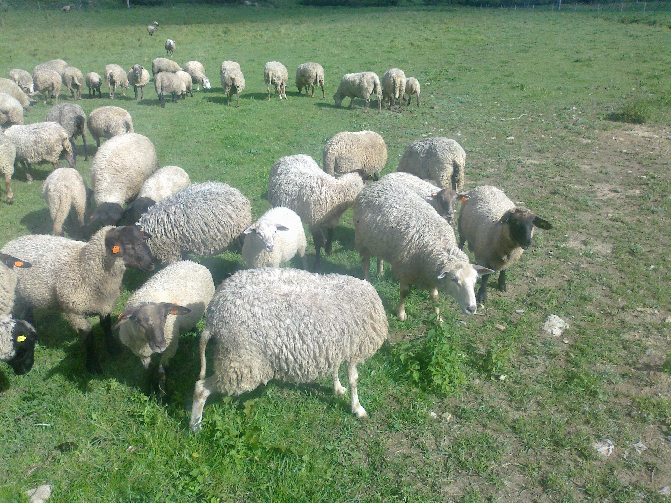 Jan Rychtecký foto 4