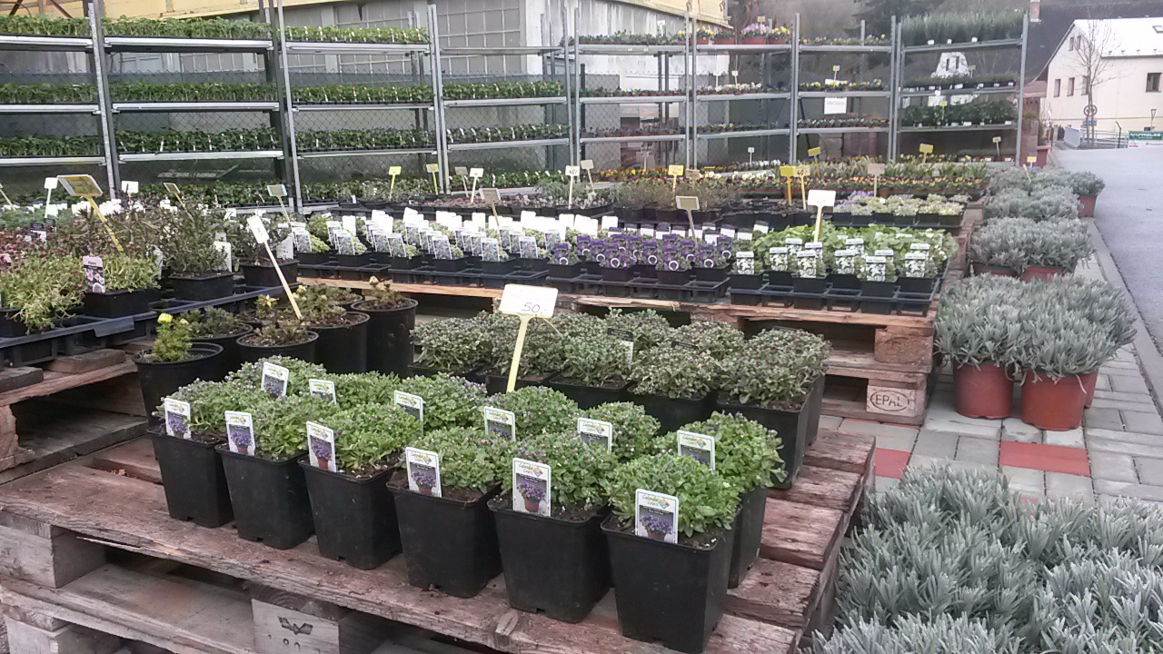 David Ryšánek - Zahradnictví foto 4