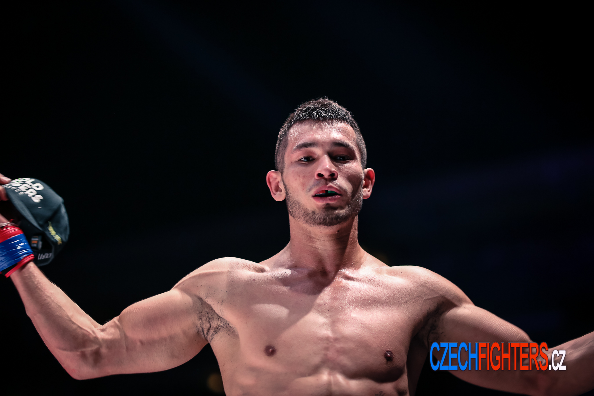 CZECHFIGHTERS.cz foto 2