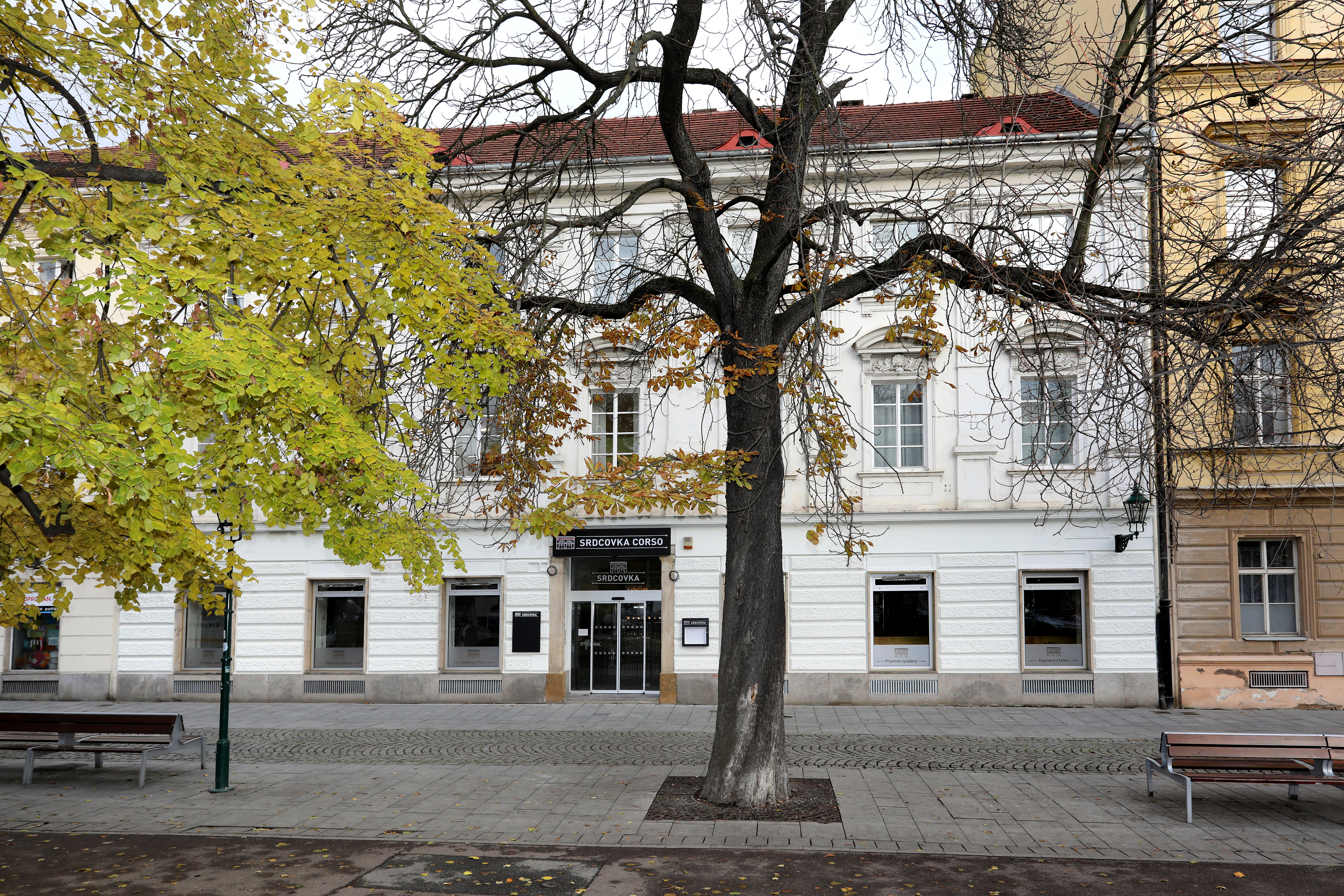 Srdcovka Corso foto 3