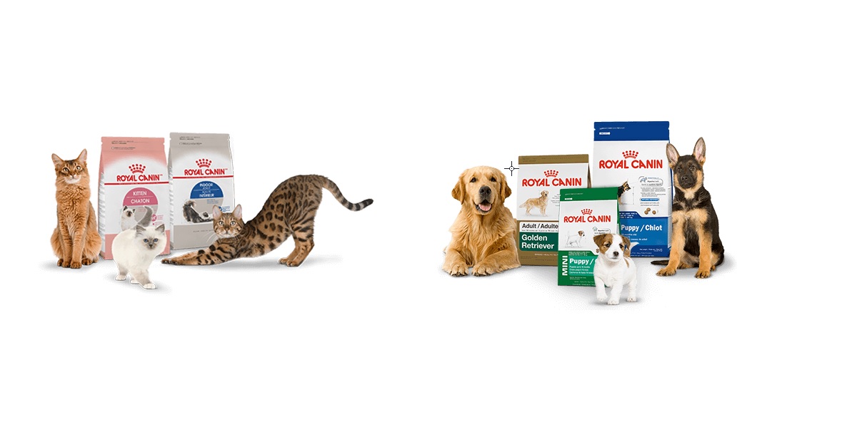 Royal Canin Czech & Slovak Republics s.r.o foto 2