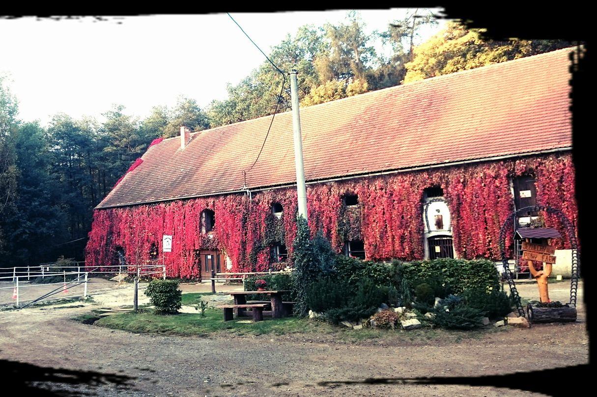 Jezdecky Klub Kladruby, z.s.