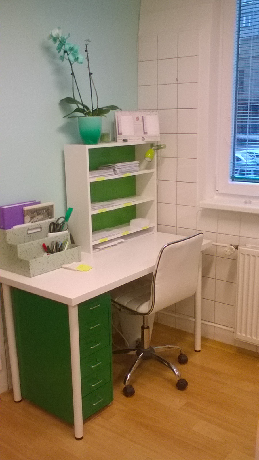 NZZ Rehabilitační pracoviště BOSA, s.r.o. foto 5