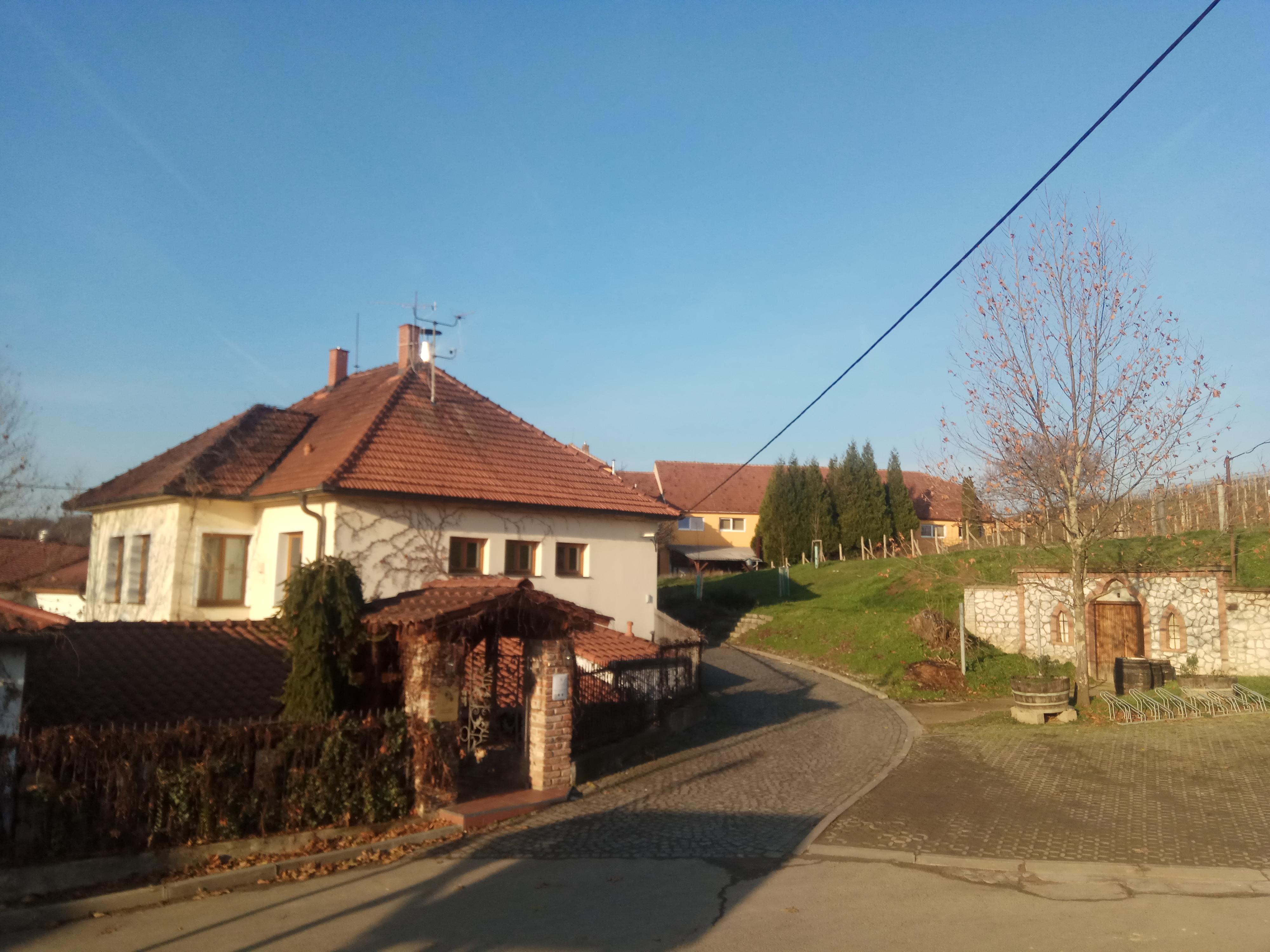 Rodinné vinařství Jedlička Bořetice foto 4