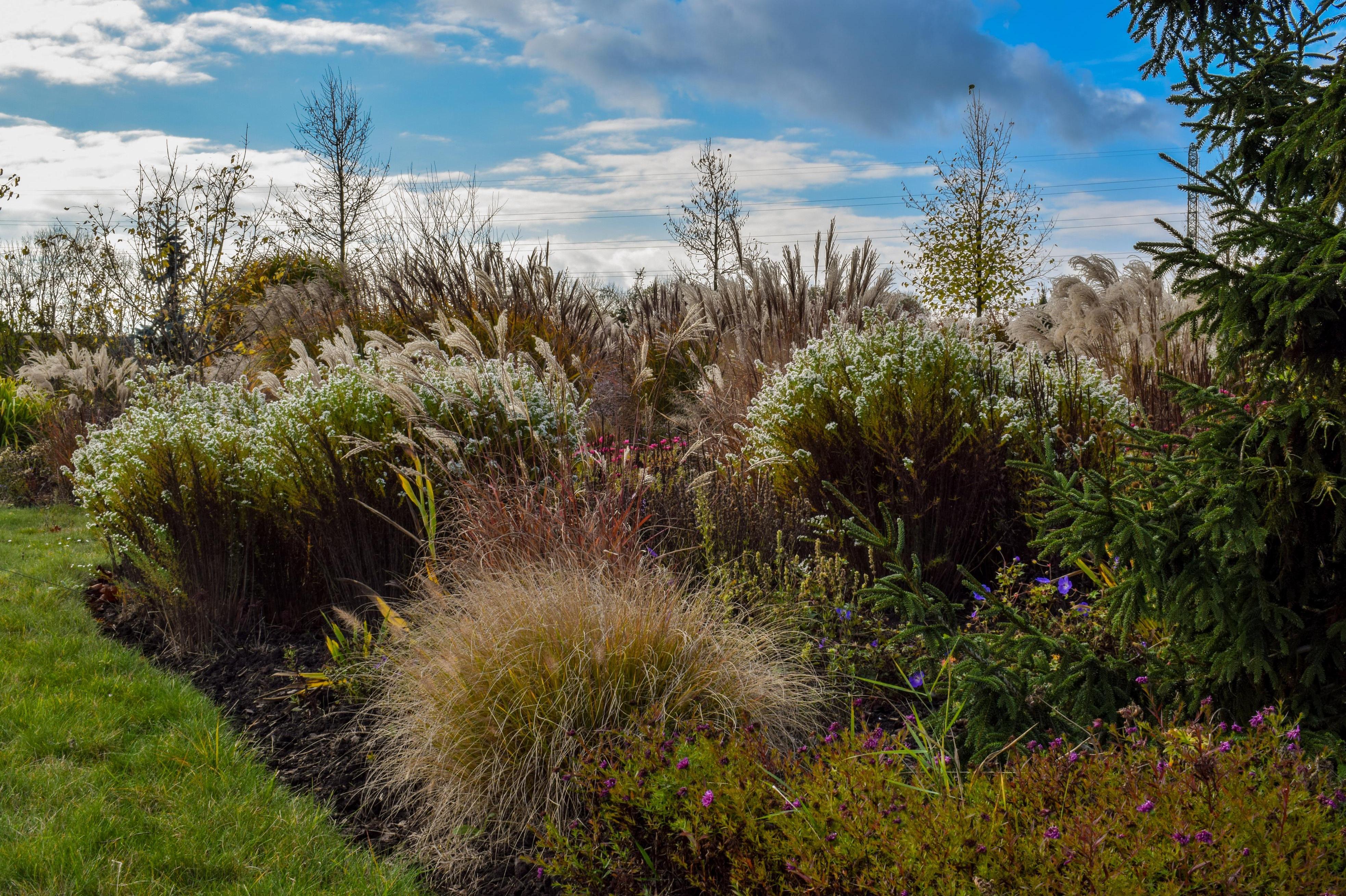 perennial-gardens.cz