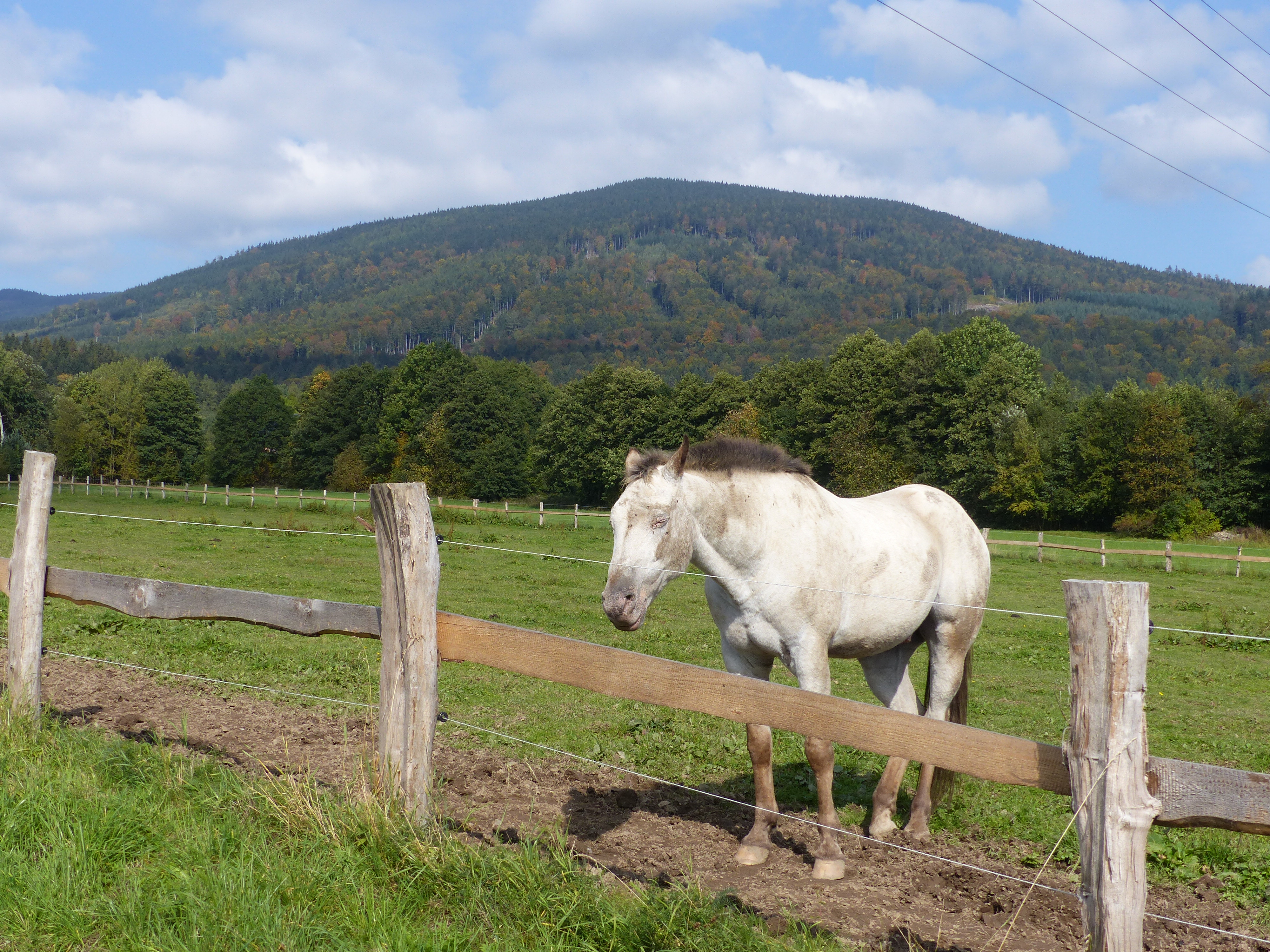 Ranč Mustang foto 2