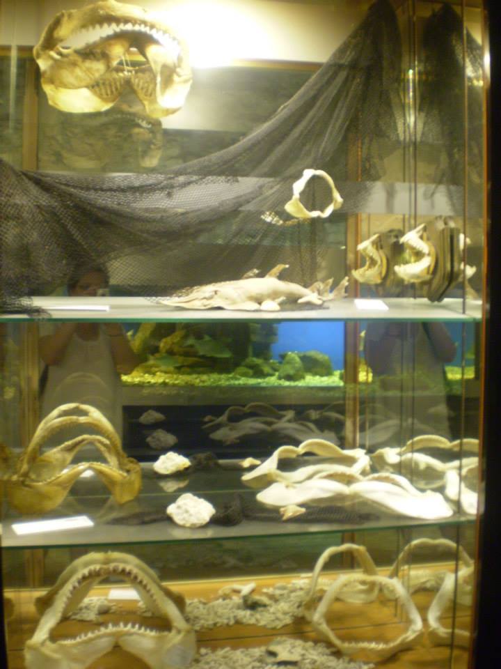 Palác Kinských – Národní galerie Praha foto 4