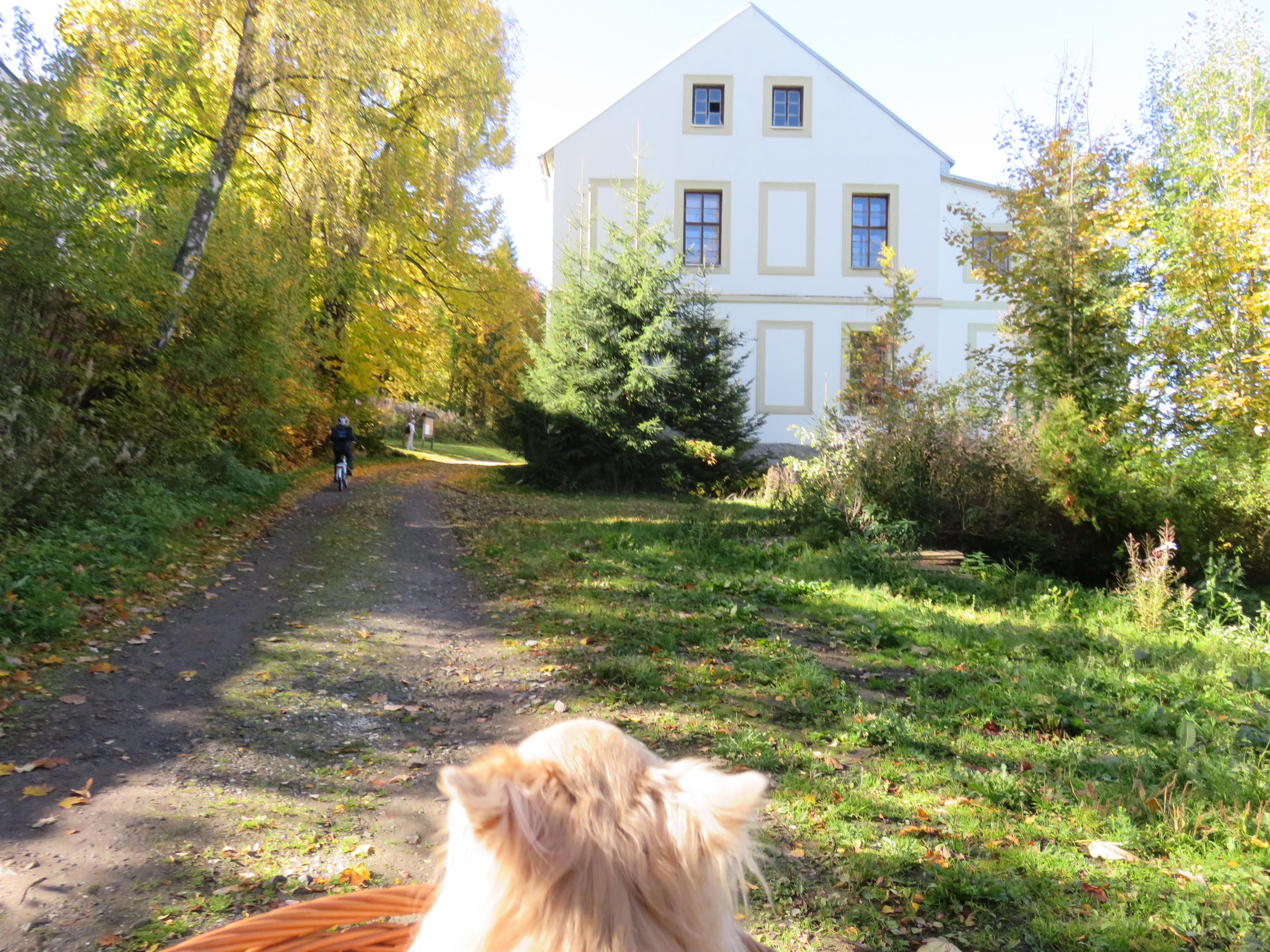 Ubytování Dobrá Voda 2 foto 2