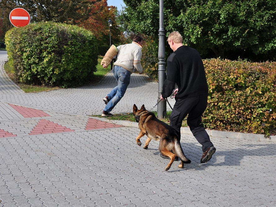 TOP security - bezpečnostní agentura foto 6