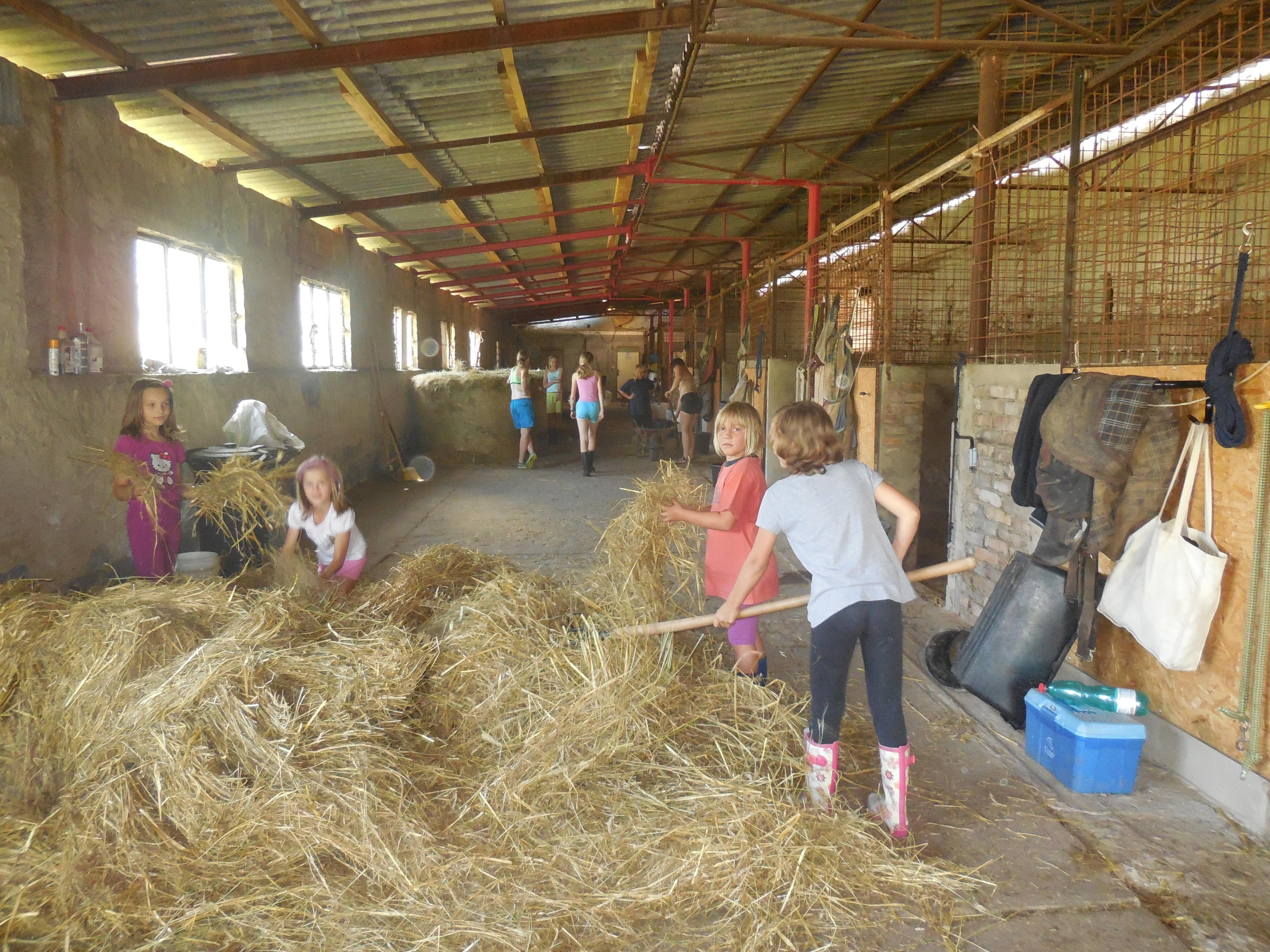 Spolek farmy Řehlovice foto 2