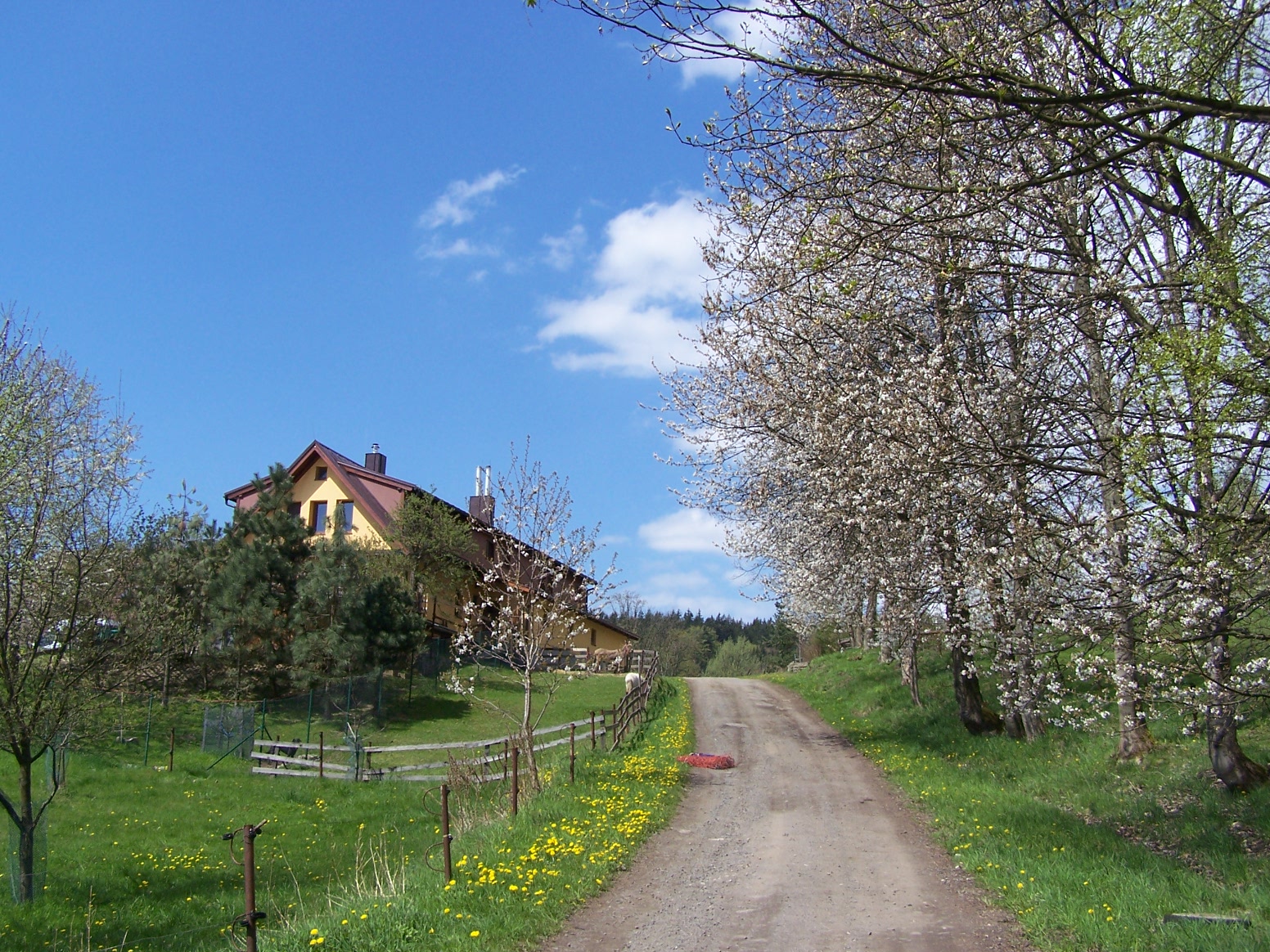Pension Farma Vyšehrad foto 2