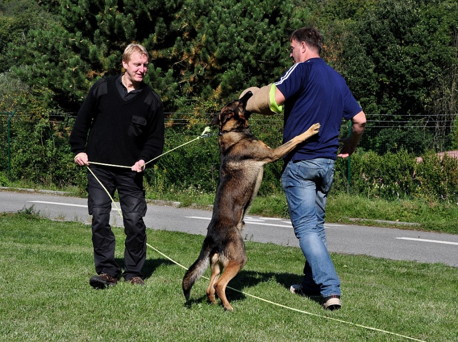 TOP security - bezpečnostní agentura