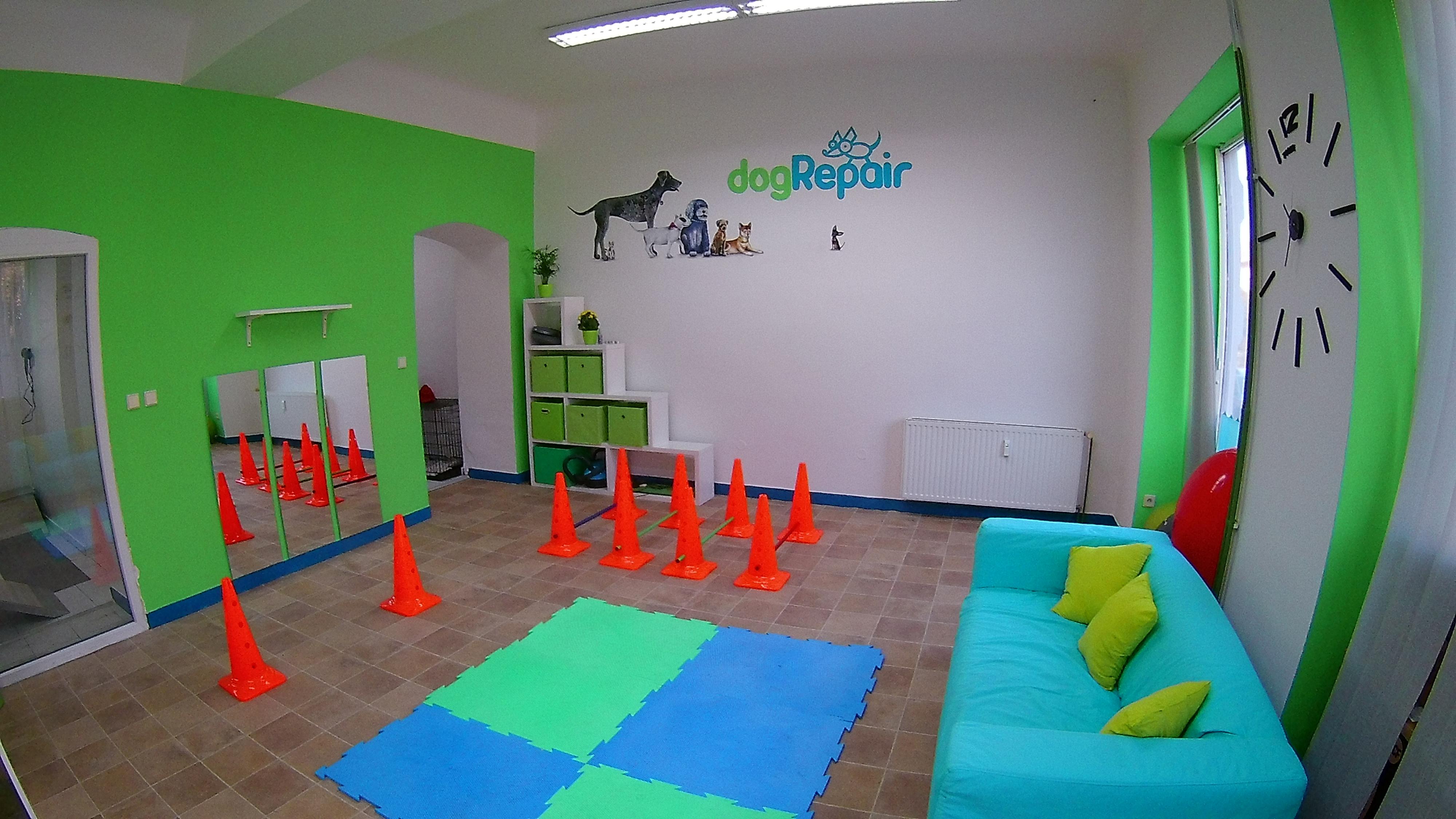 dogRepair foto 3