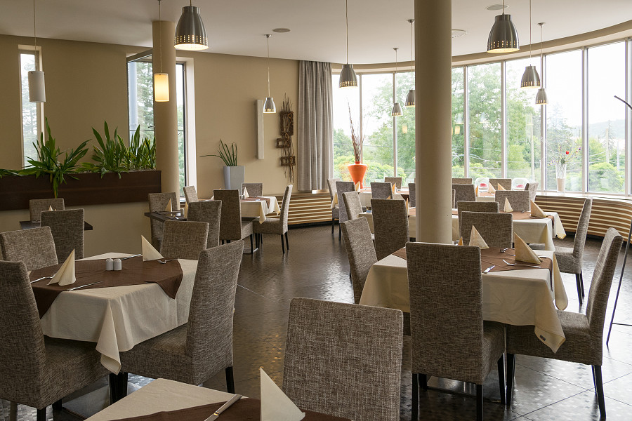 Restaurant Hotel Lions Plzeň foto 4