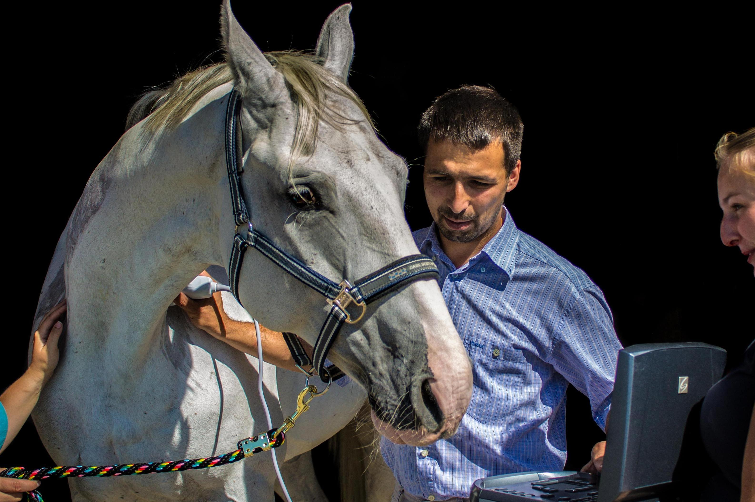 Veterinární lékař MVDr. Martin Brát