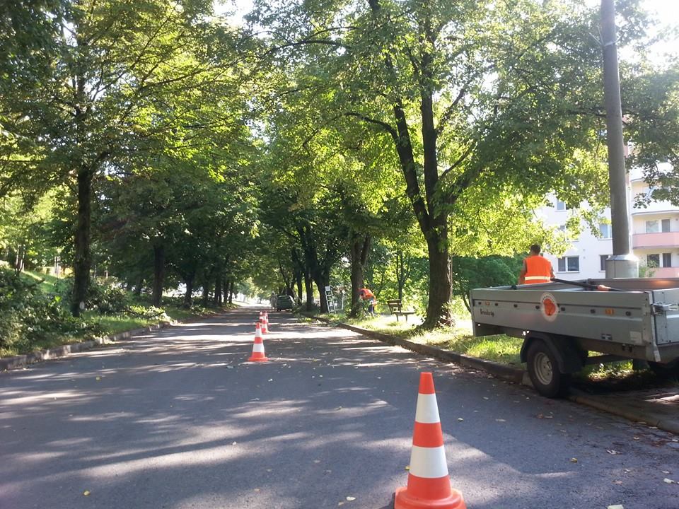 Arboeu s.r.o. foto 3