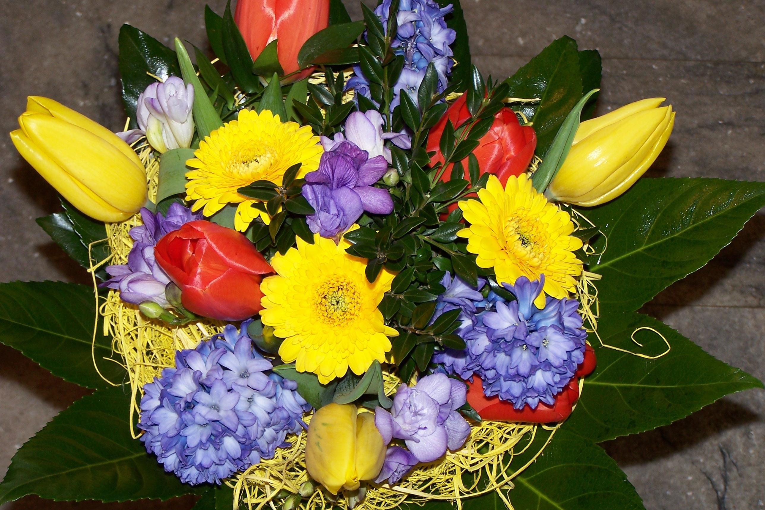 Květiny Macháčková